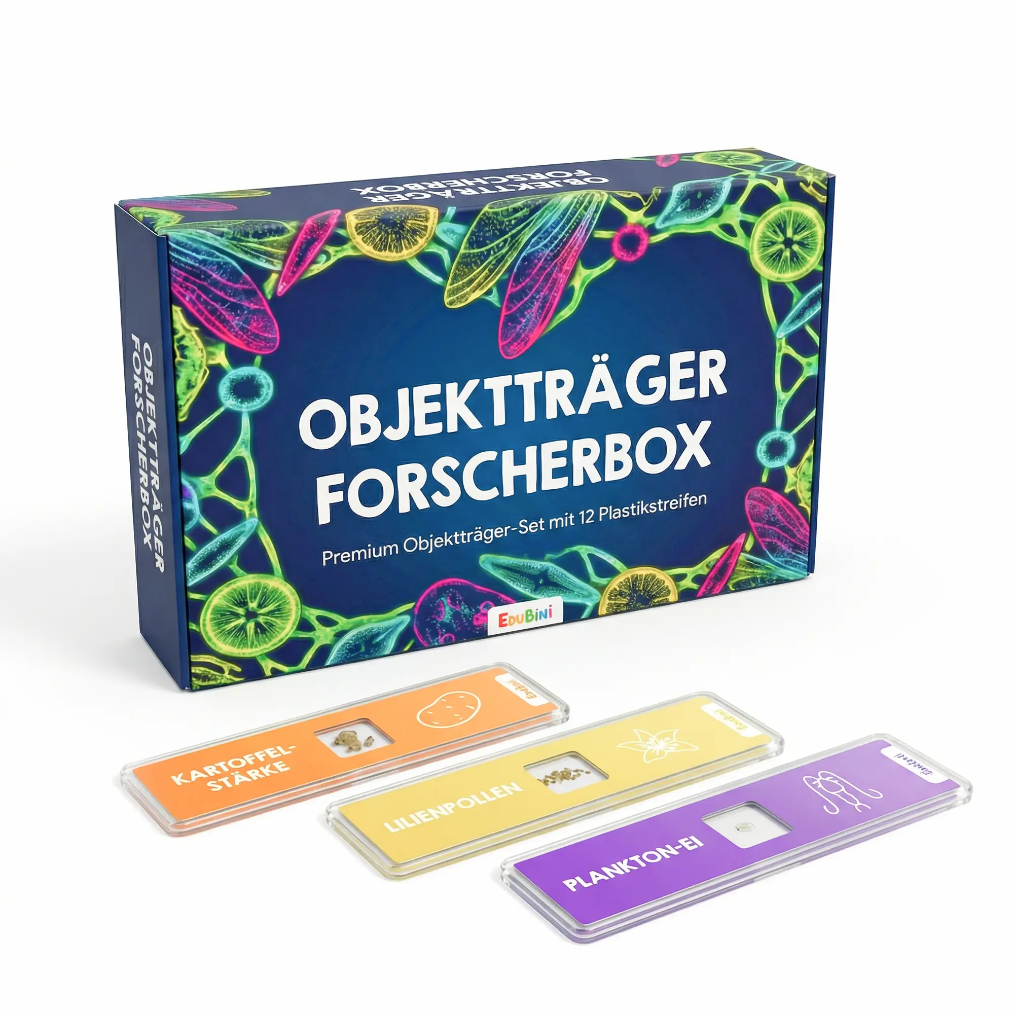Vorschaubild 1